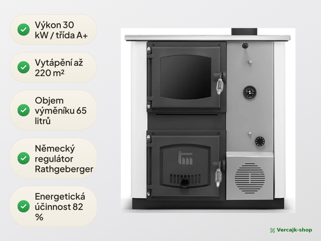 TEMY PRO 30 kW — regulátor tahu a ovládání provozních režimů
