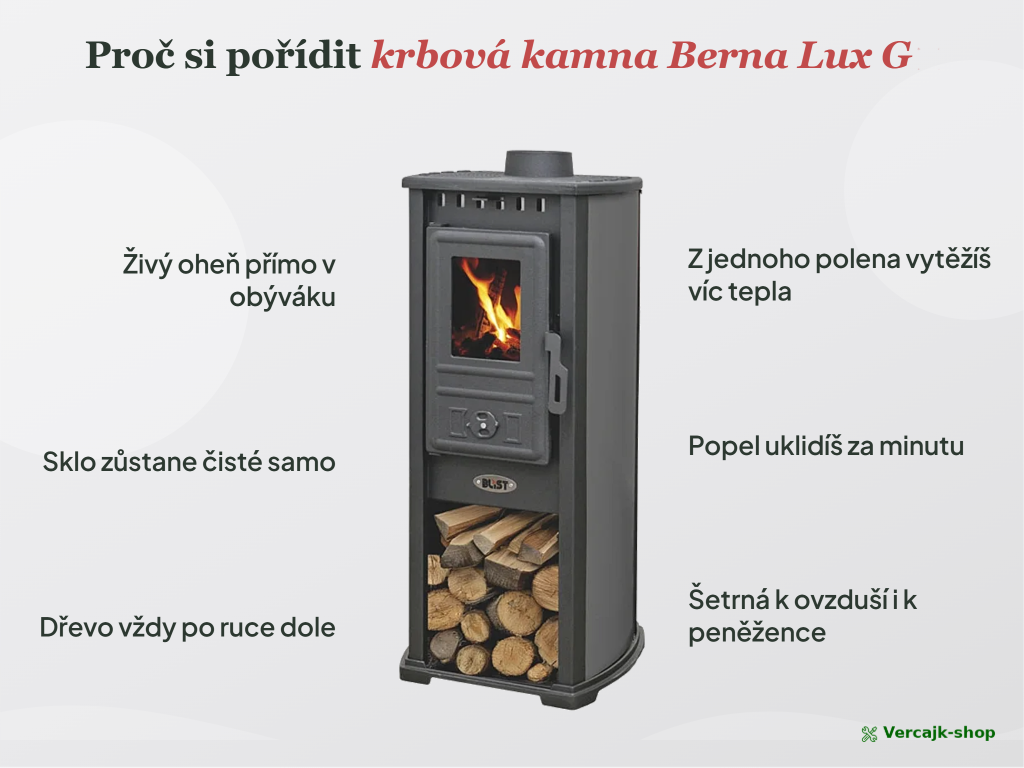 BERNA Lux G Antracit — popelník a úložný prostor na dřevo