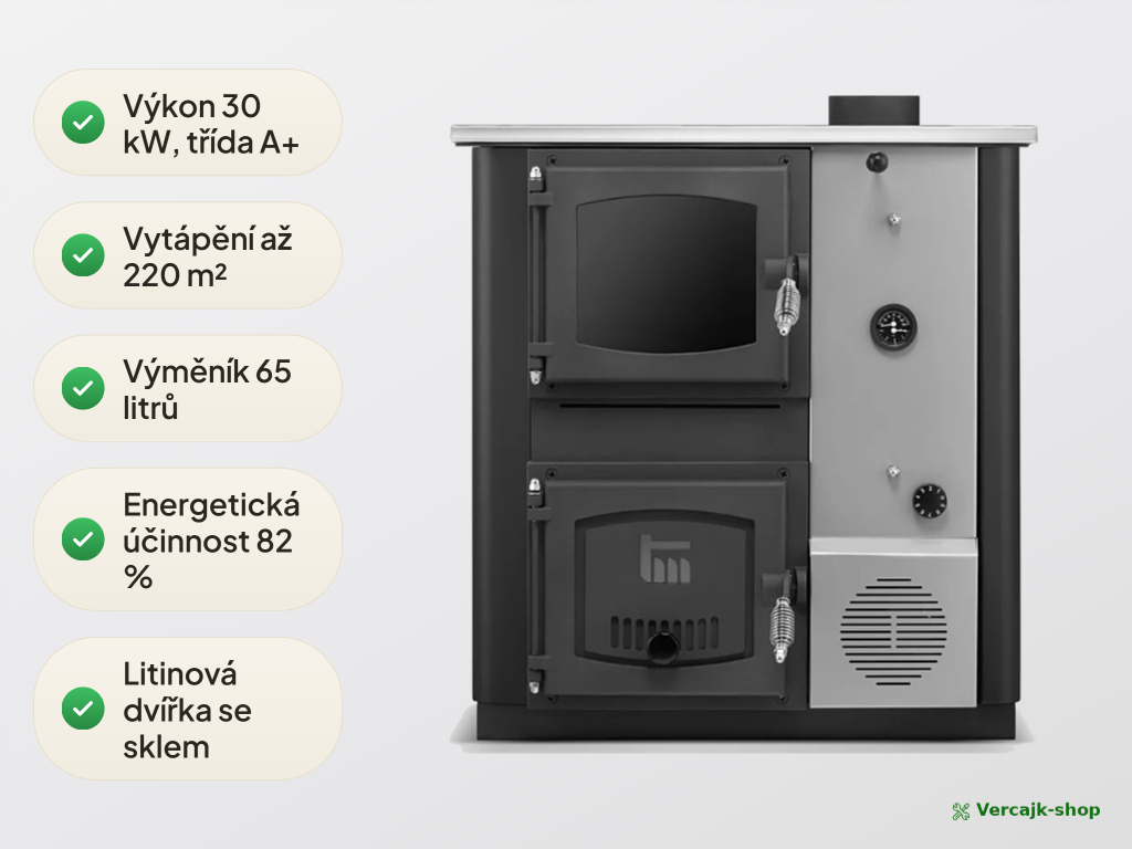 TEMY PRO 30 kW — regulátor tahu a ovládání provozních režimů