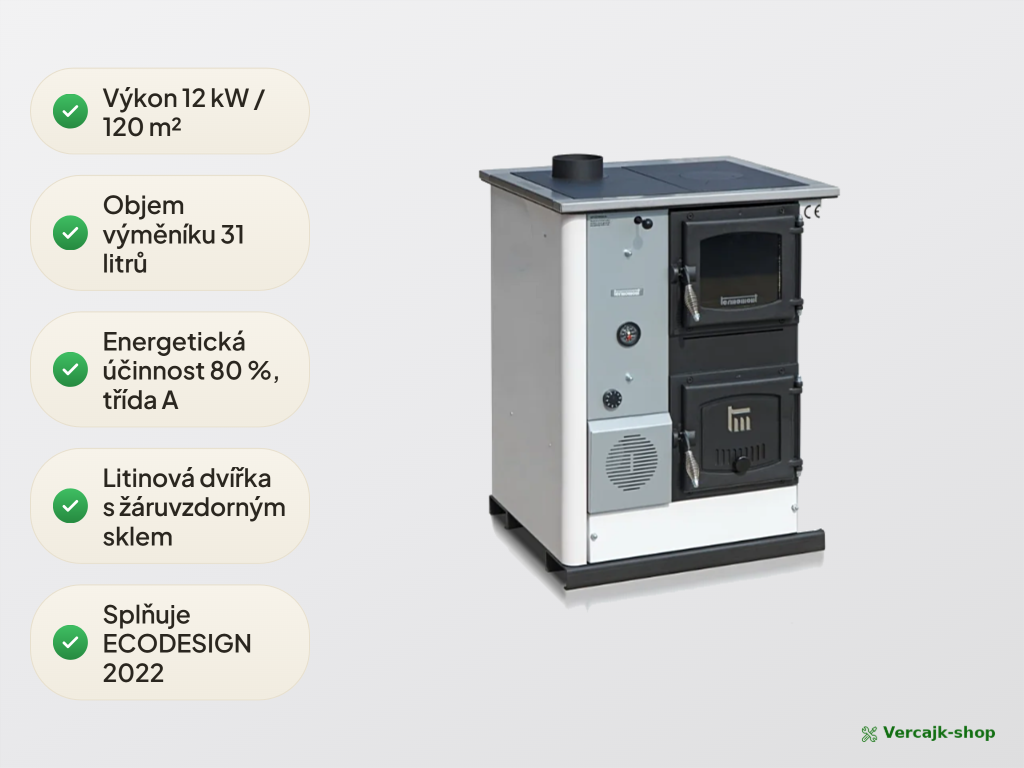 TEMY PRO 12 kW — regulátor tahu a ovládání provozních režimů
