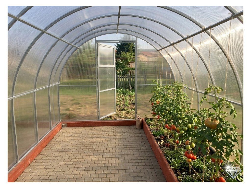 LEGI Estragon 8×3 m v praxi — rajčata a zelenina na 24 m²
