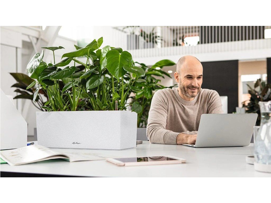 Lechuza Balconera Stone — samozavlažovací systém s měrkou na vodu a zásobníkem