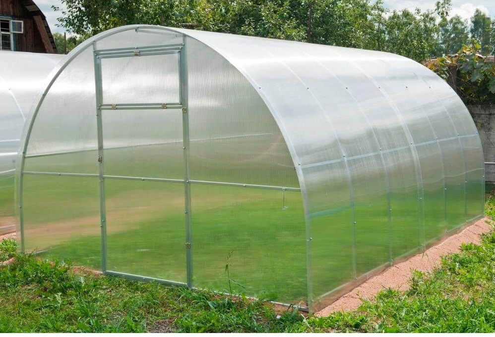 LEGI Estragon 4×3 m / 4 mm